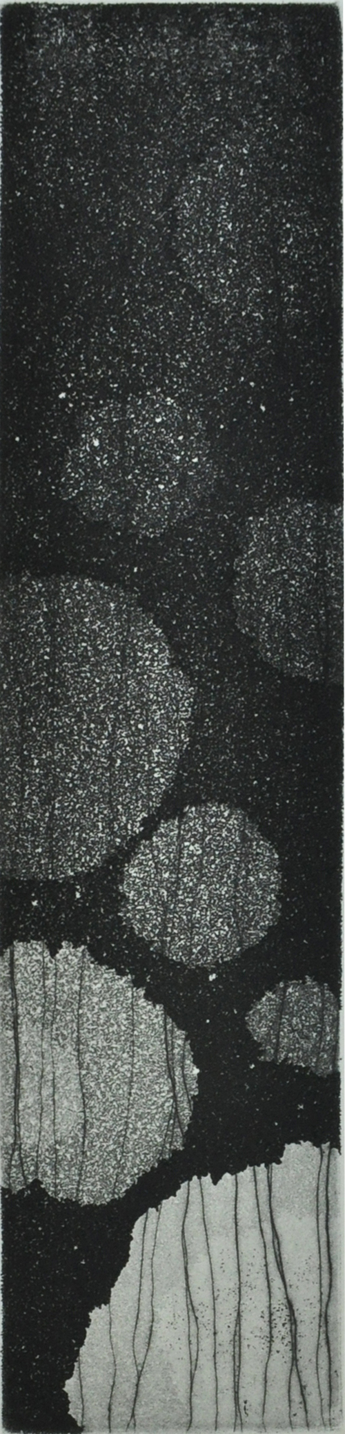 一個小時零十五分，吳麗嫦，18 X 4 cm，，銅版畫，2012