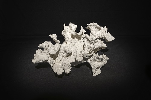珊瑚系列II，胡顯龍，50 x 35 x 27 cm，陶泥，2015