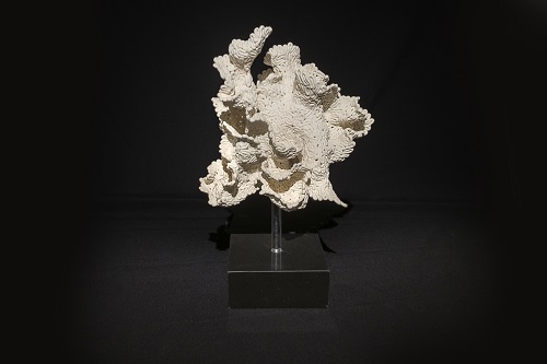 珊瑚系列，胡顯龍，34 x 23 x 54 cm，陶泥，2015