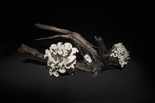 珊瑚叢，胡顯龍，90 x 28 x 36 cm，陶泥，2015